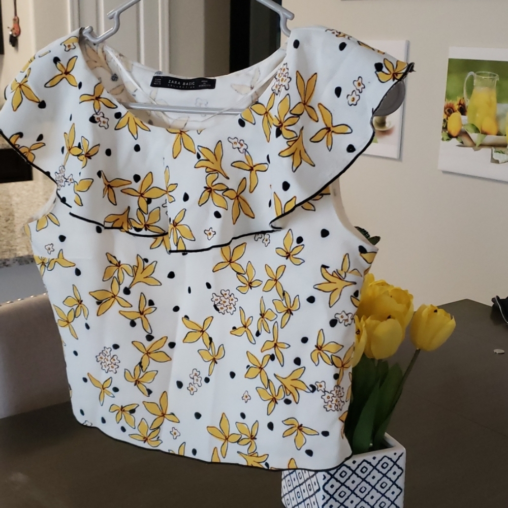 Zara basic collections - Picture 2 of 4